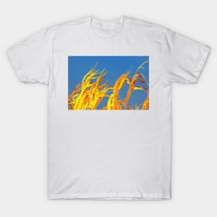 On the Rise T-Shirt